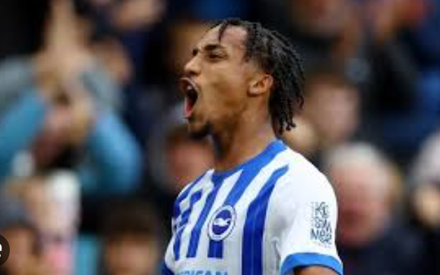 若昂·佩德罗英超表现亮眼 成为切尔西进攻核心